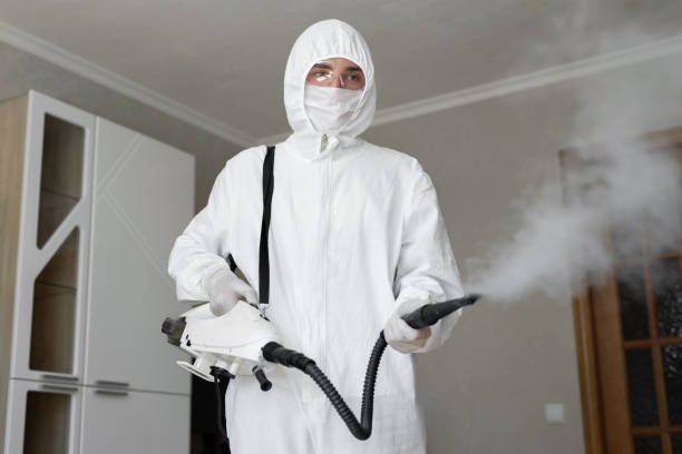 Mold Documentation for Insurance Claims in Monte Sereno, CA